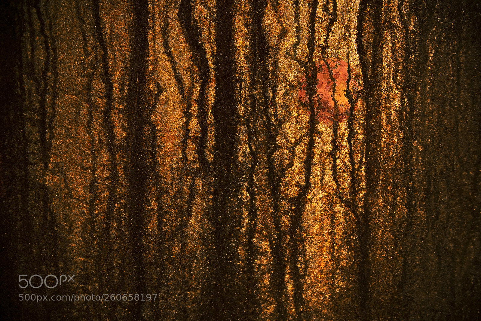 Nikon D750 sample photo. Rust abstract photography