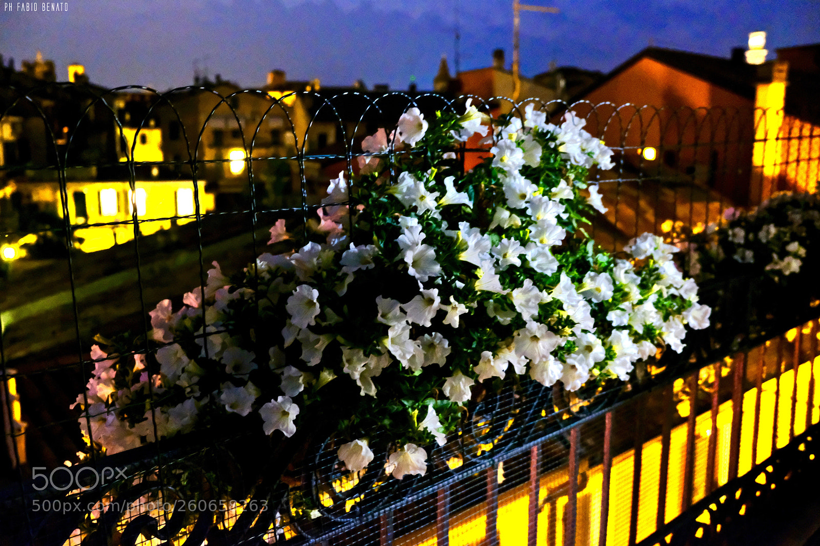 Fujifilm X-T2 sample photo. Over the rooftop photography