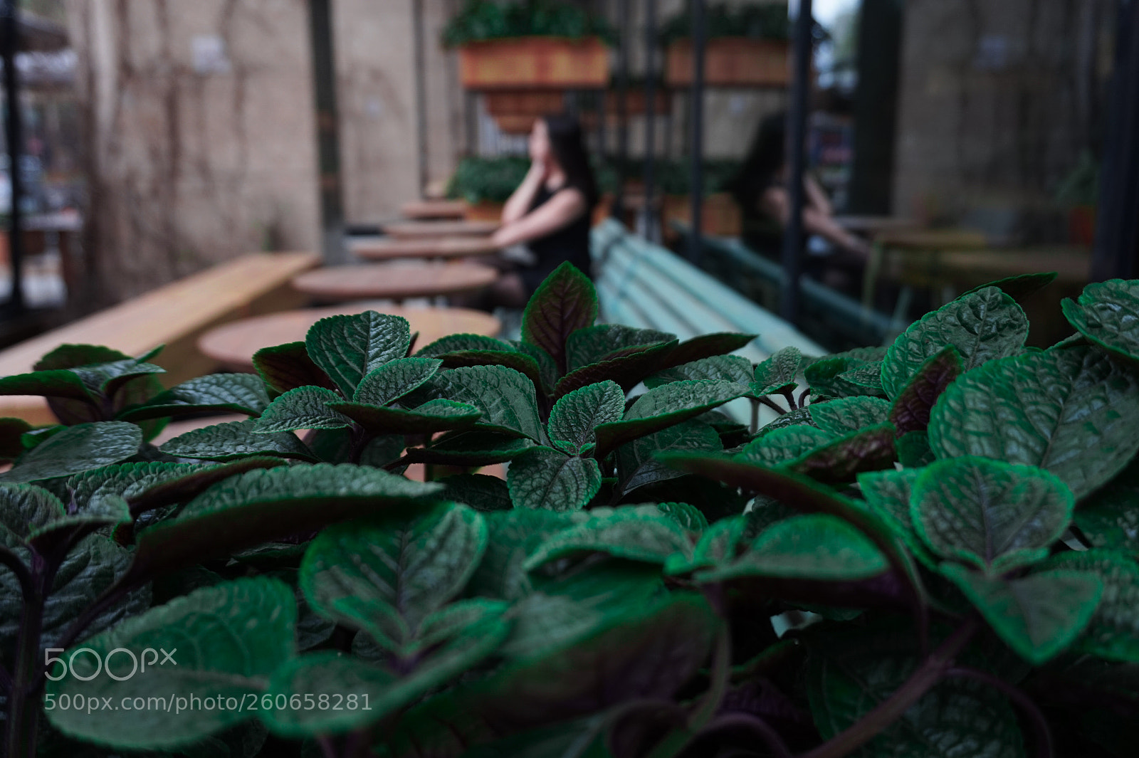Sony Alpha a5000 (ILCE 5000) sample photo. Untitled photography
