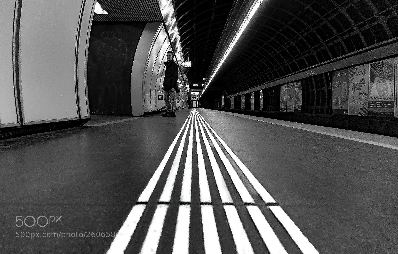 Canon EOS 6D sample photo. Lines on the vienna photography