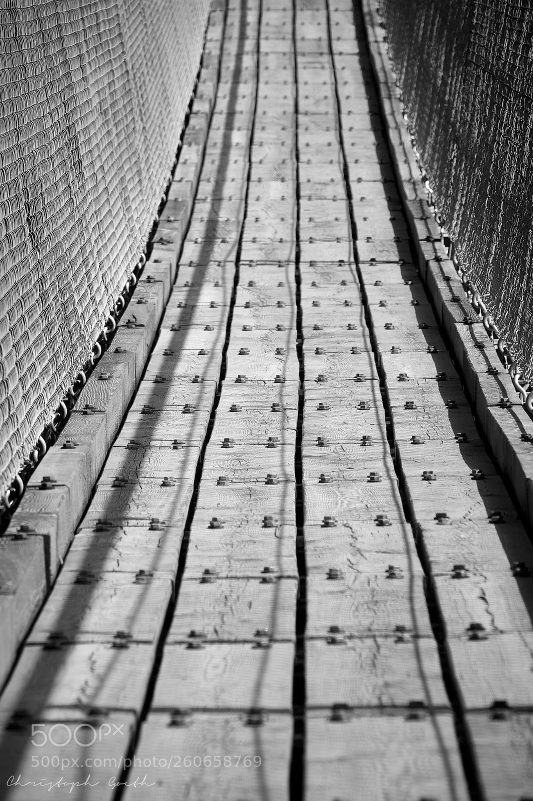 Sony Cyber-shot DSC-RX10 III sample photo. Follow me ... photography