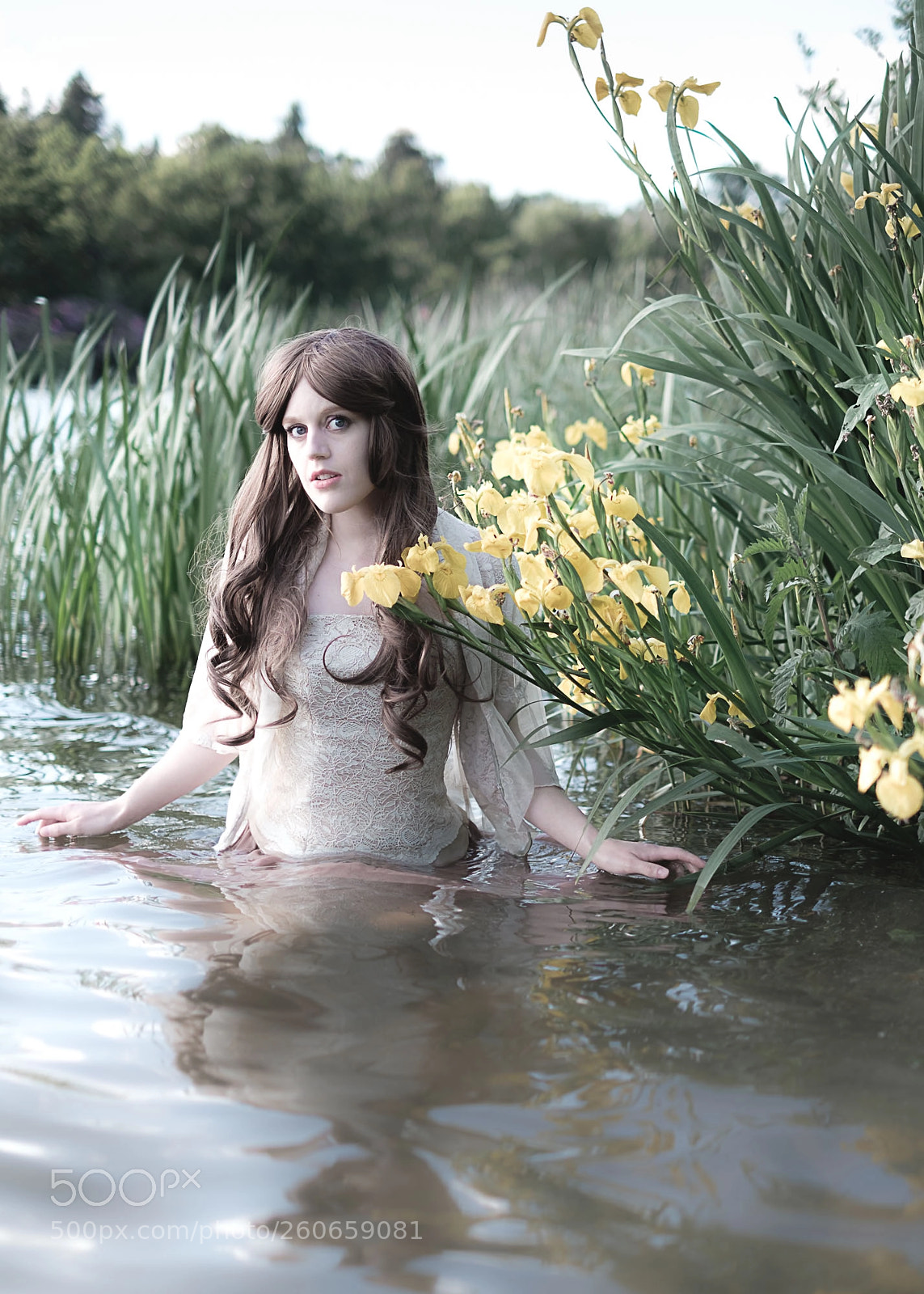 Fujifilm X-Pro2 sample photo. Ophelia6 photography