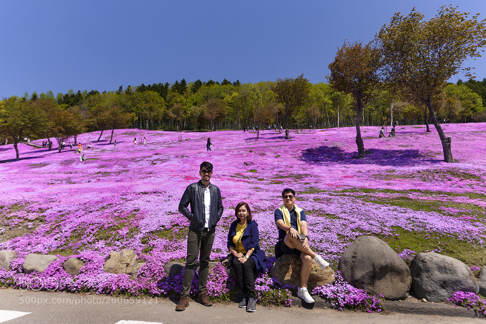 Nikon D610 sample photo. Pink carpet photography