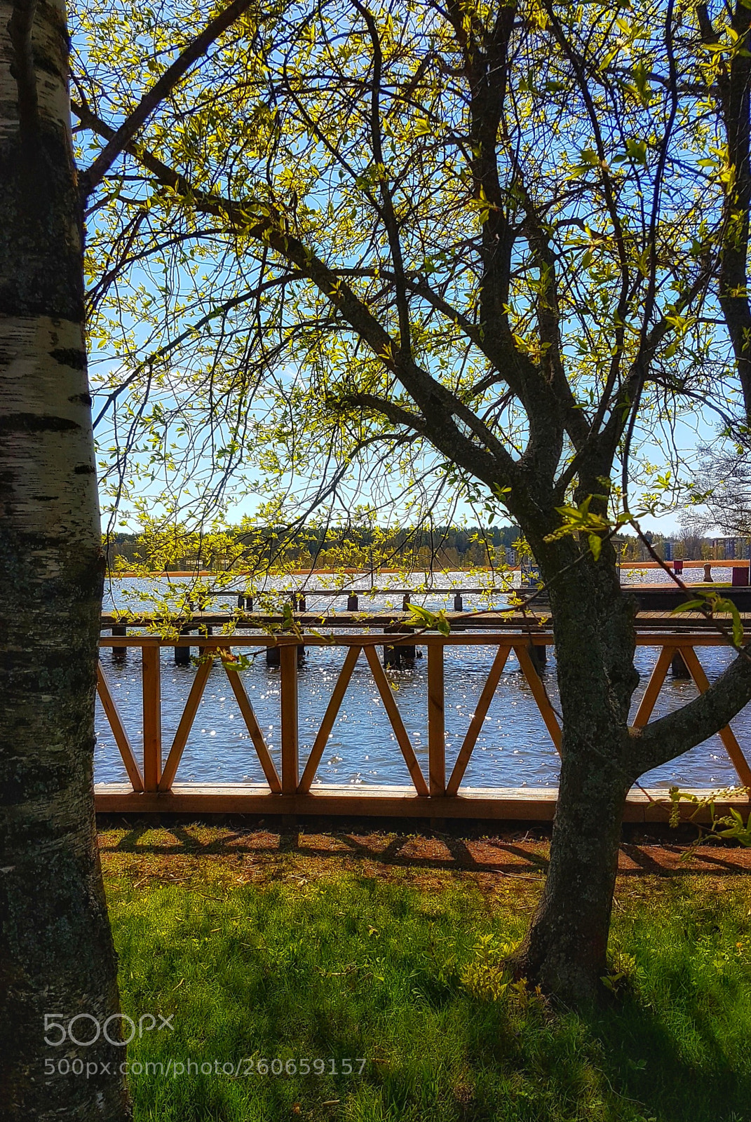 Samsung Galaxy S7 Edge sample photo. Beauty in nature photography