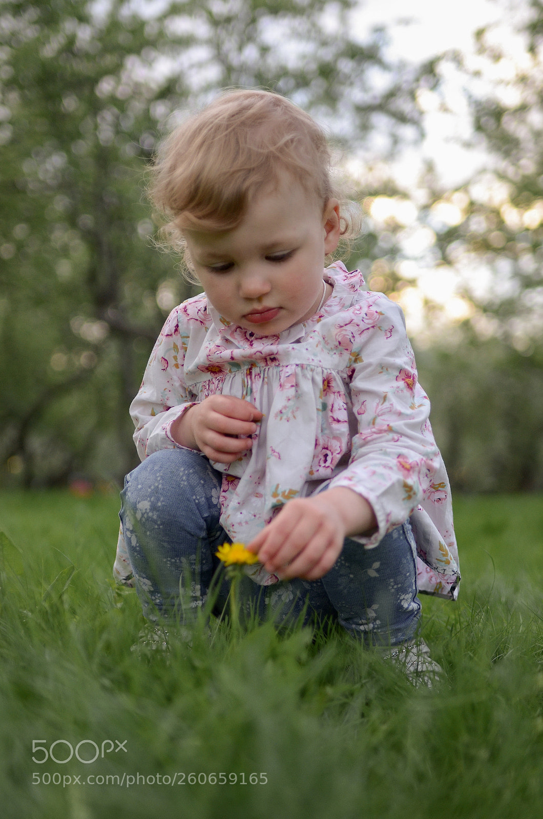 Nikon D7000 sample photo. Untitled photography