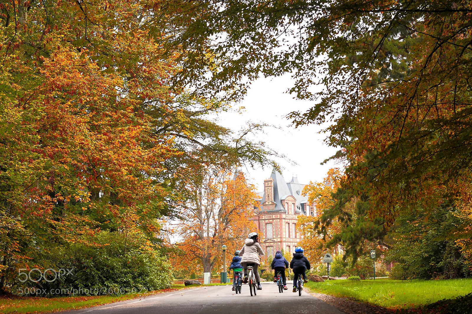 Canon EOS 40D sample photo. Biking in autumn  photography