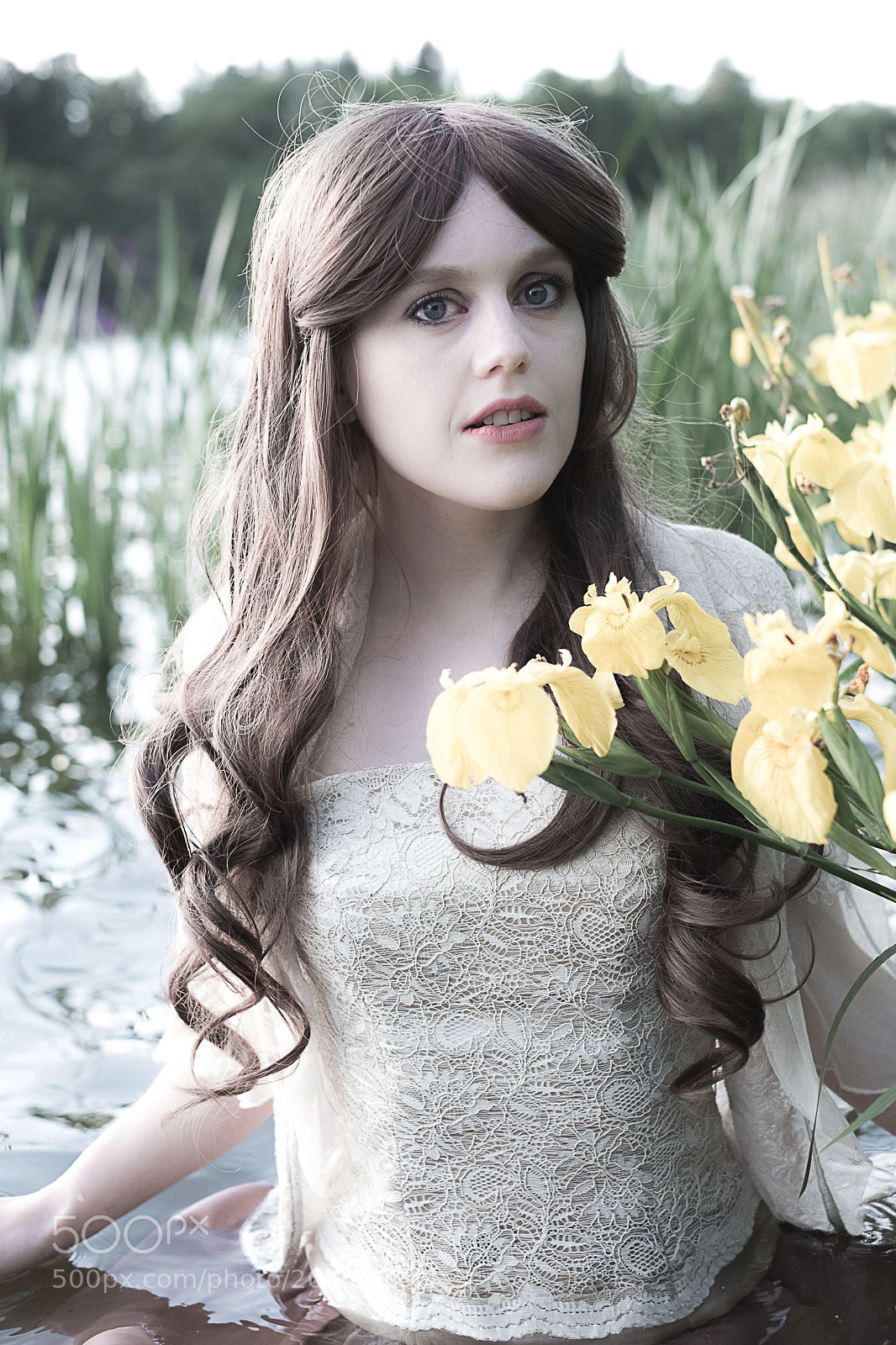 Fujifilm X-Pro2 sample photo. Ophelia7 photography