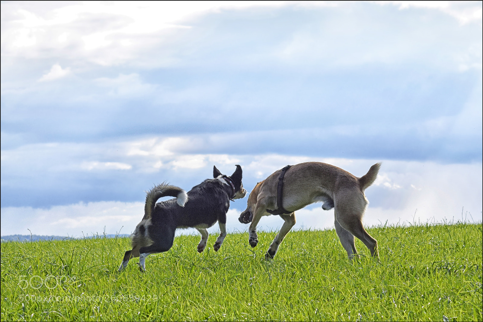 Nikon D3300 sample photo. The love story of photography