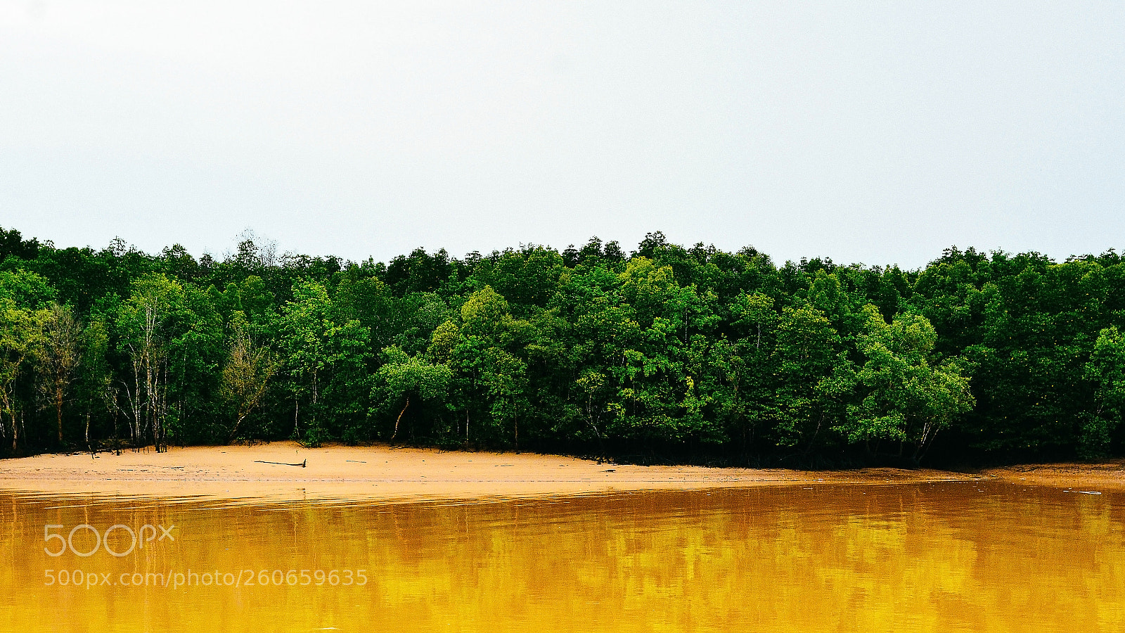 Nikon D7100 sample photo. Two tone of picture photography