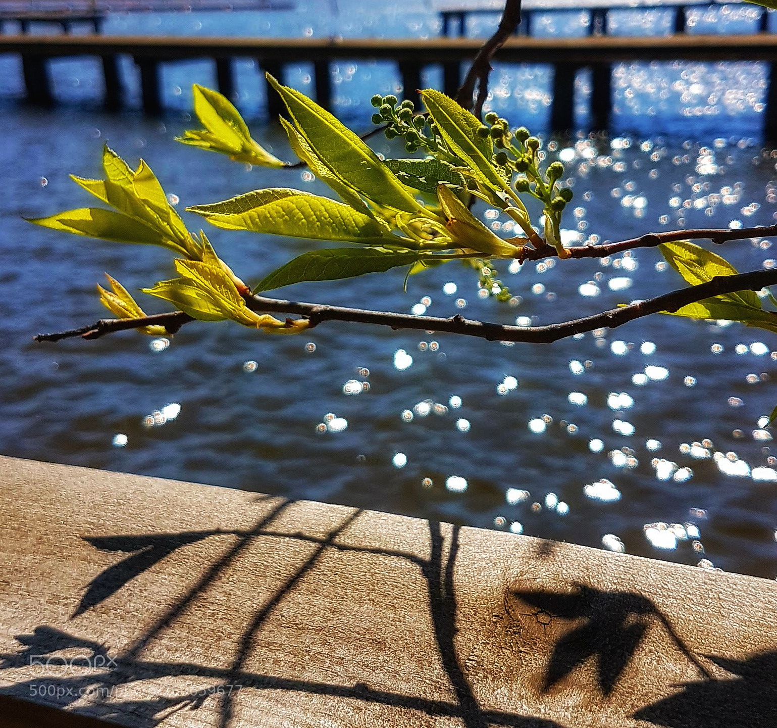 Samsung Galaxy S7 Edge sample photo. Untitled photography