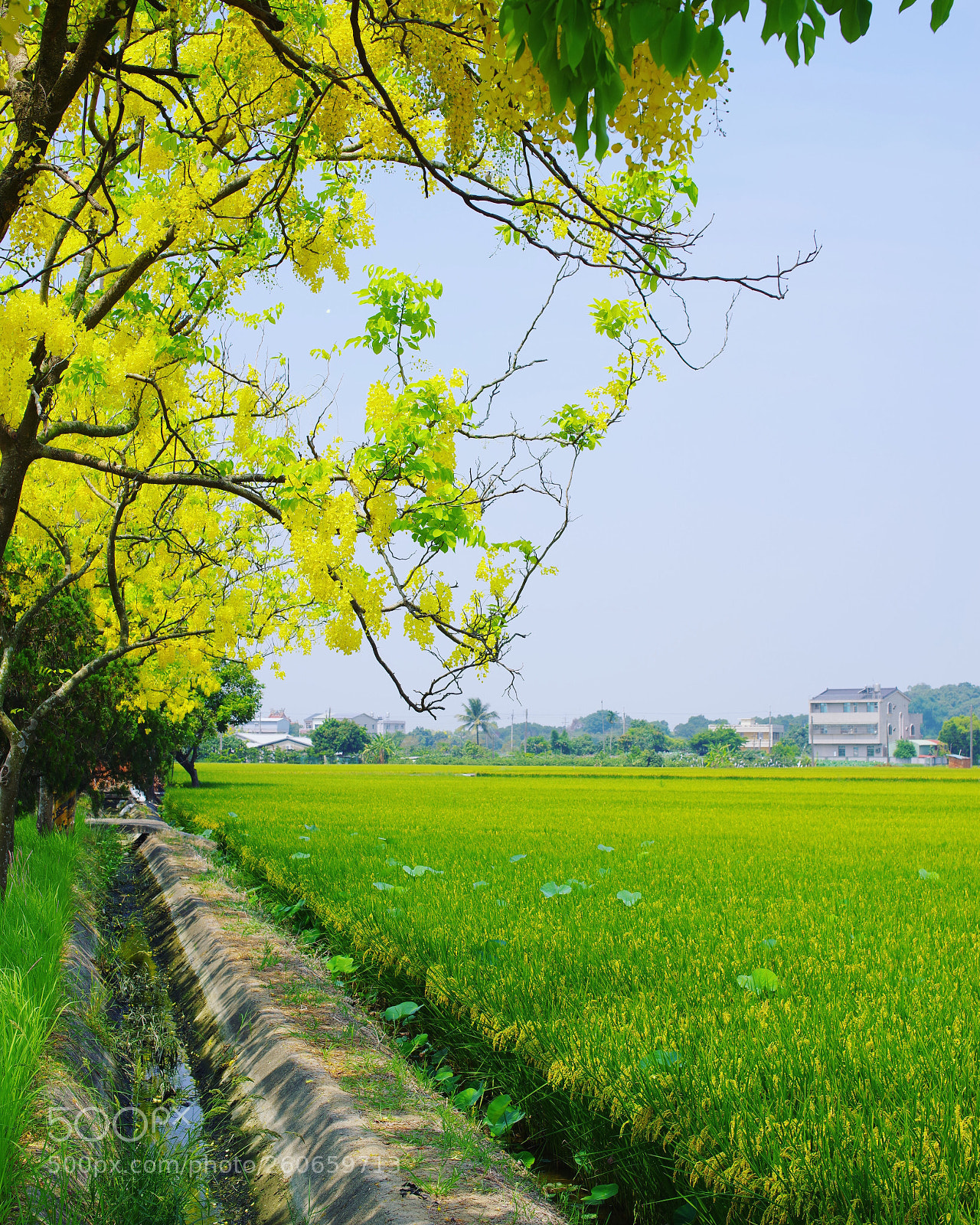 Pentax K-1 sample photo. The view from my photography