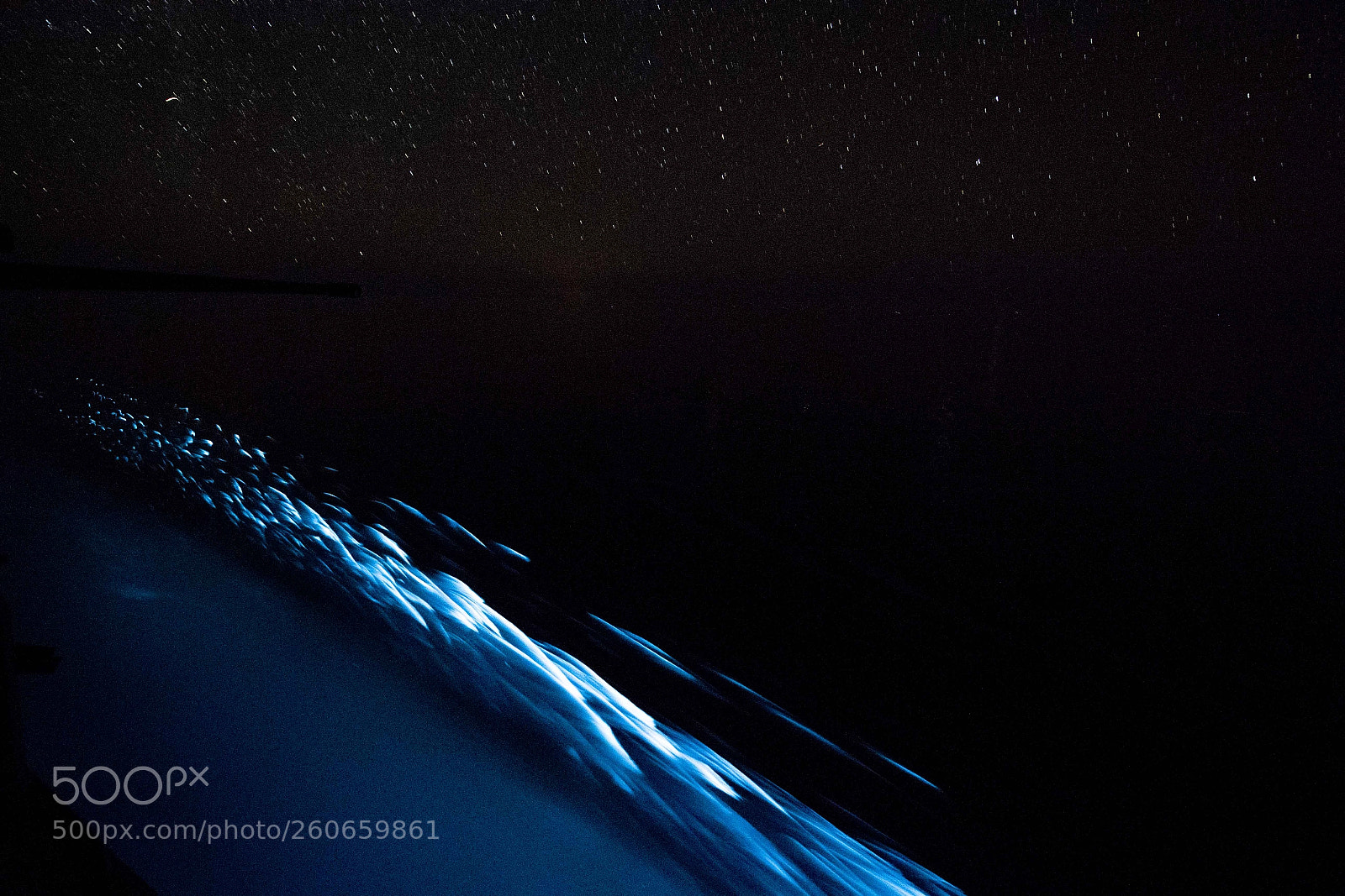 Nikon D5 sample photo. Bioluminescence photography