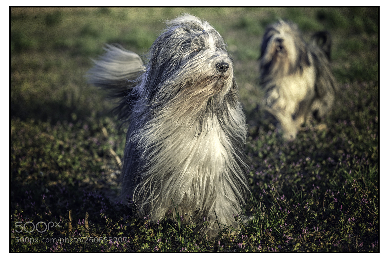 Canon EOS 6D sample photo. Another day in paradise photography