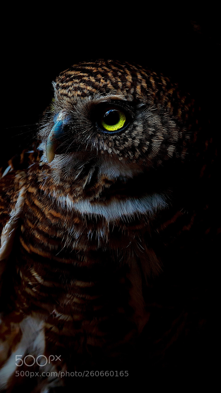 Canon EOS 5DS sample photo. Untitled photography