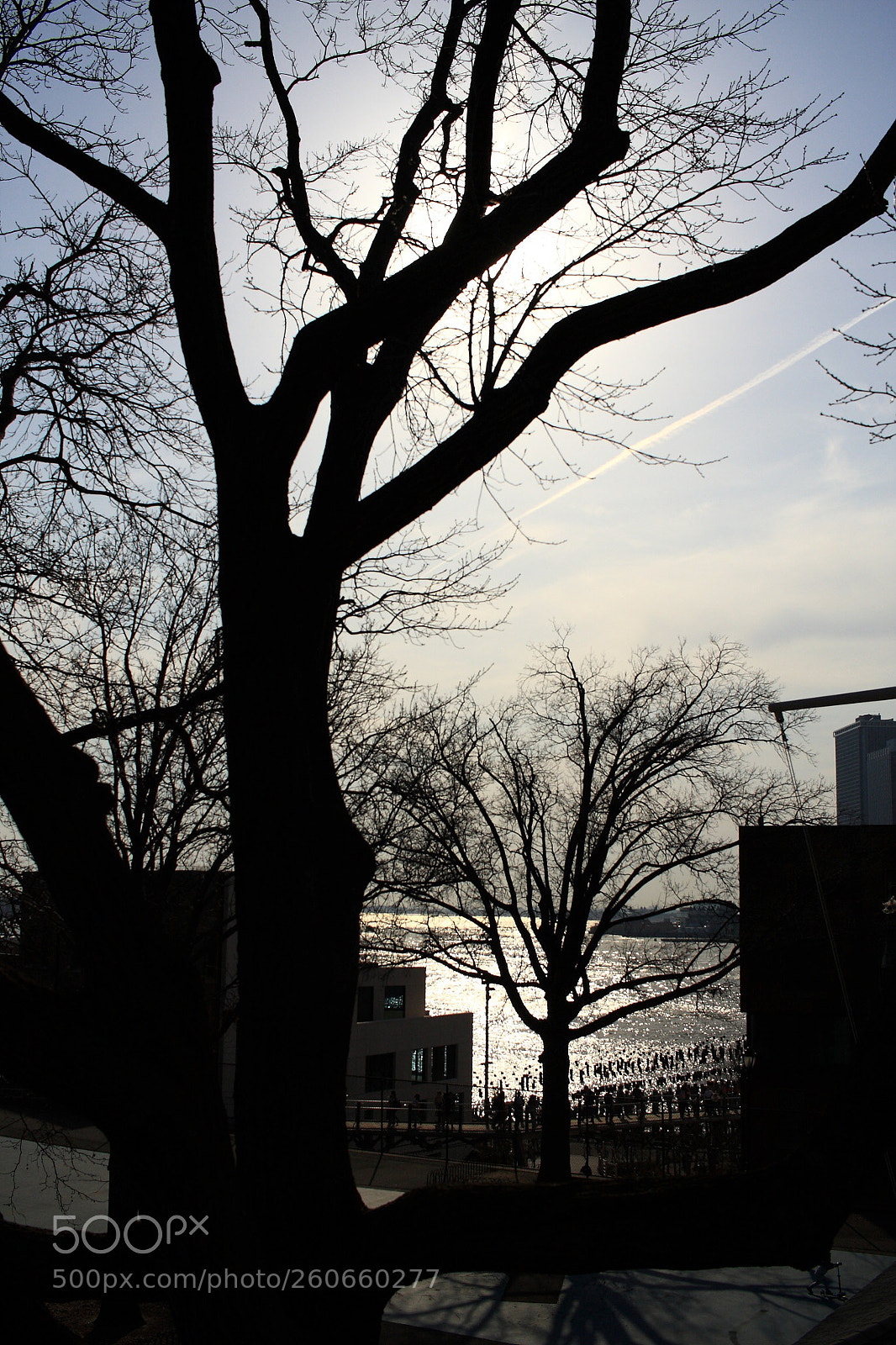 Canon EOS 40D sample photo. Silhouette  photography