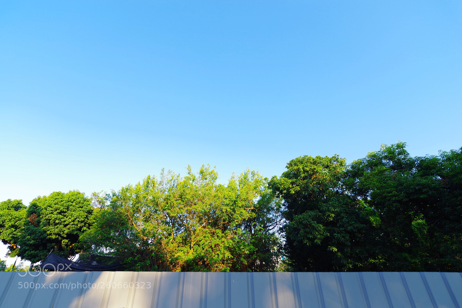Pentax K-1 sample photo. The sky pure  photography