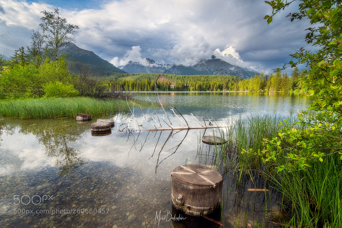 Nikon D500 sample photo. (high tatras i.) photography