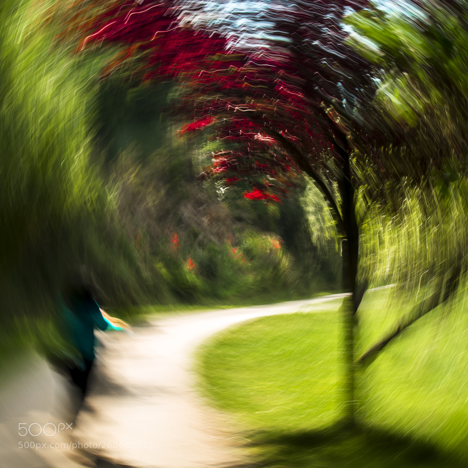 Pentax K-50 sample photo. _ photography