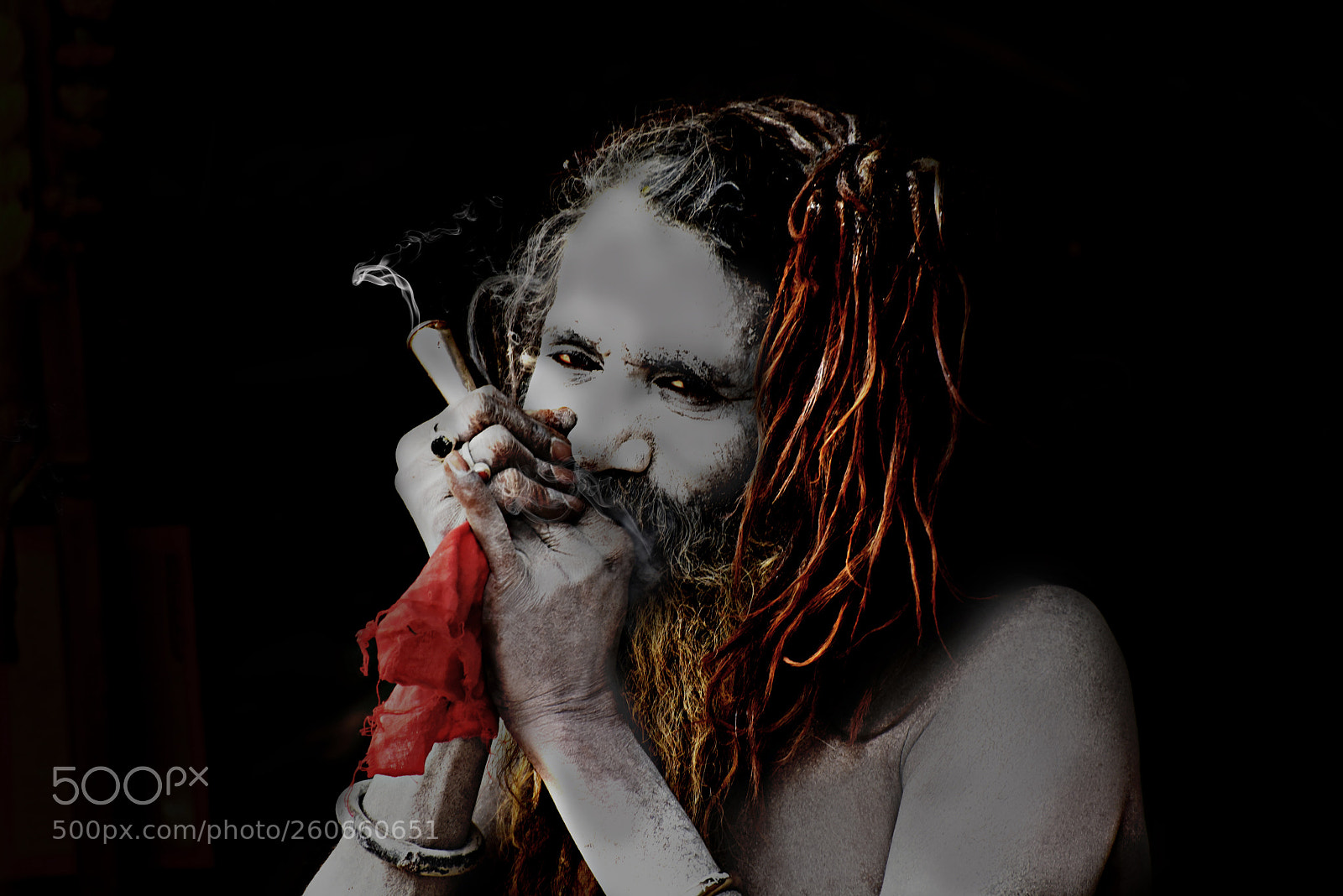 Nikon D750 sample photo. Copycopy photography