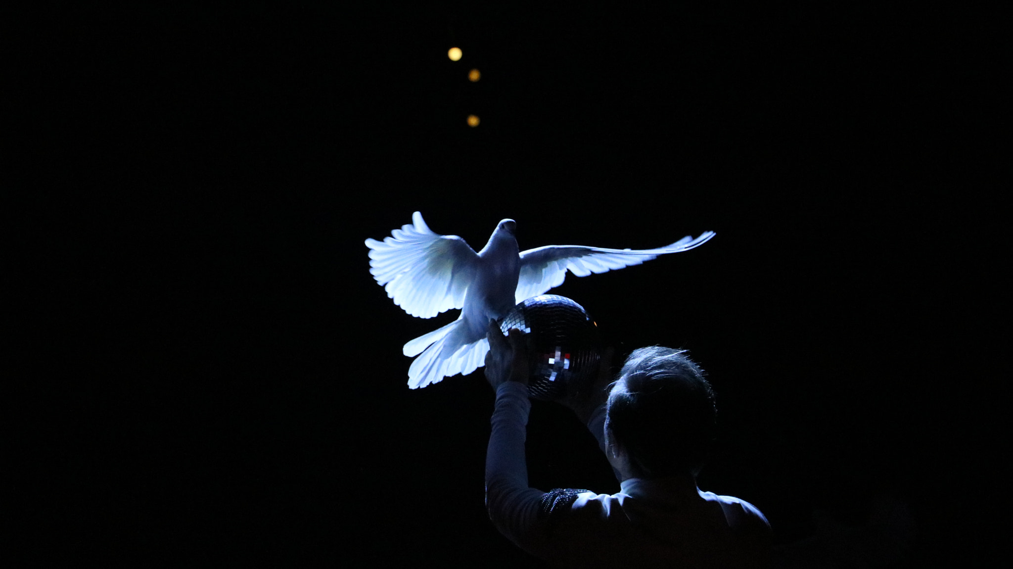 Canon EOS 750D (EOS Rebel T6i / EOS Kiss X8i) sample photo. -dove- photography