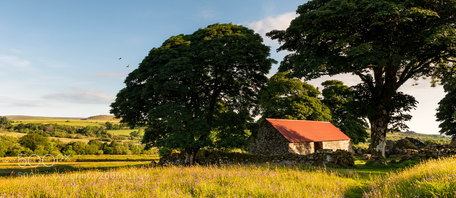 Nikon D500 sample photo. Emsworthy mire photography
