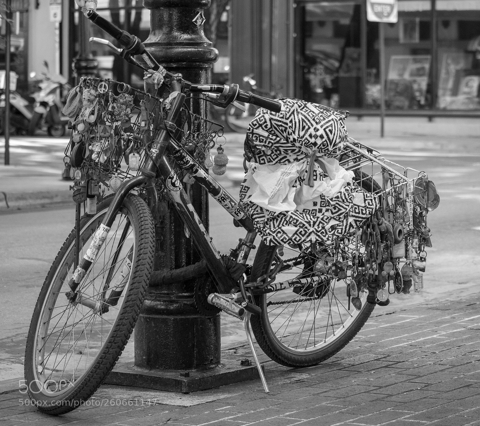 Canon EOS 77D (EOS 9000D / EOS 770D) sample photo. Not your normal schwinn photography