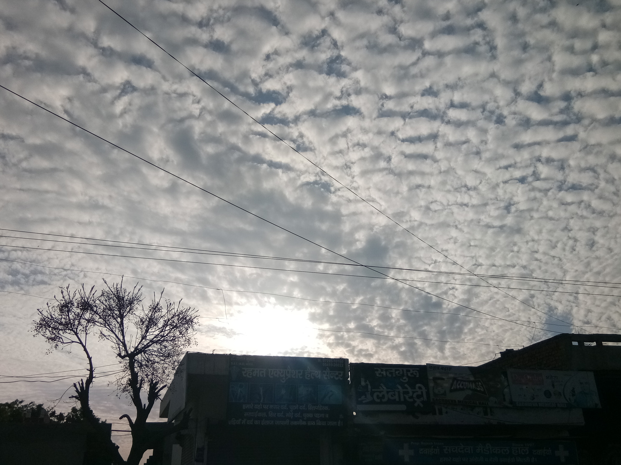 vivo 1601 sample photo
