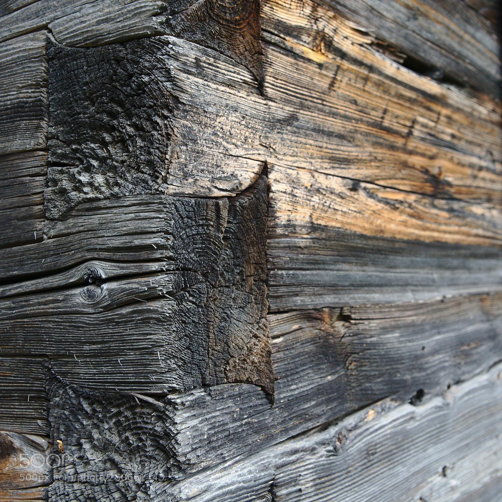 Sony a7 III sample photo. Timber joint/holzverbindung photography