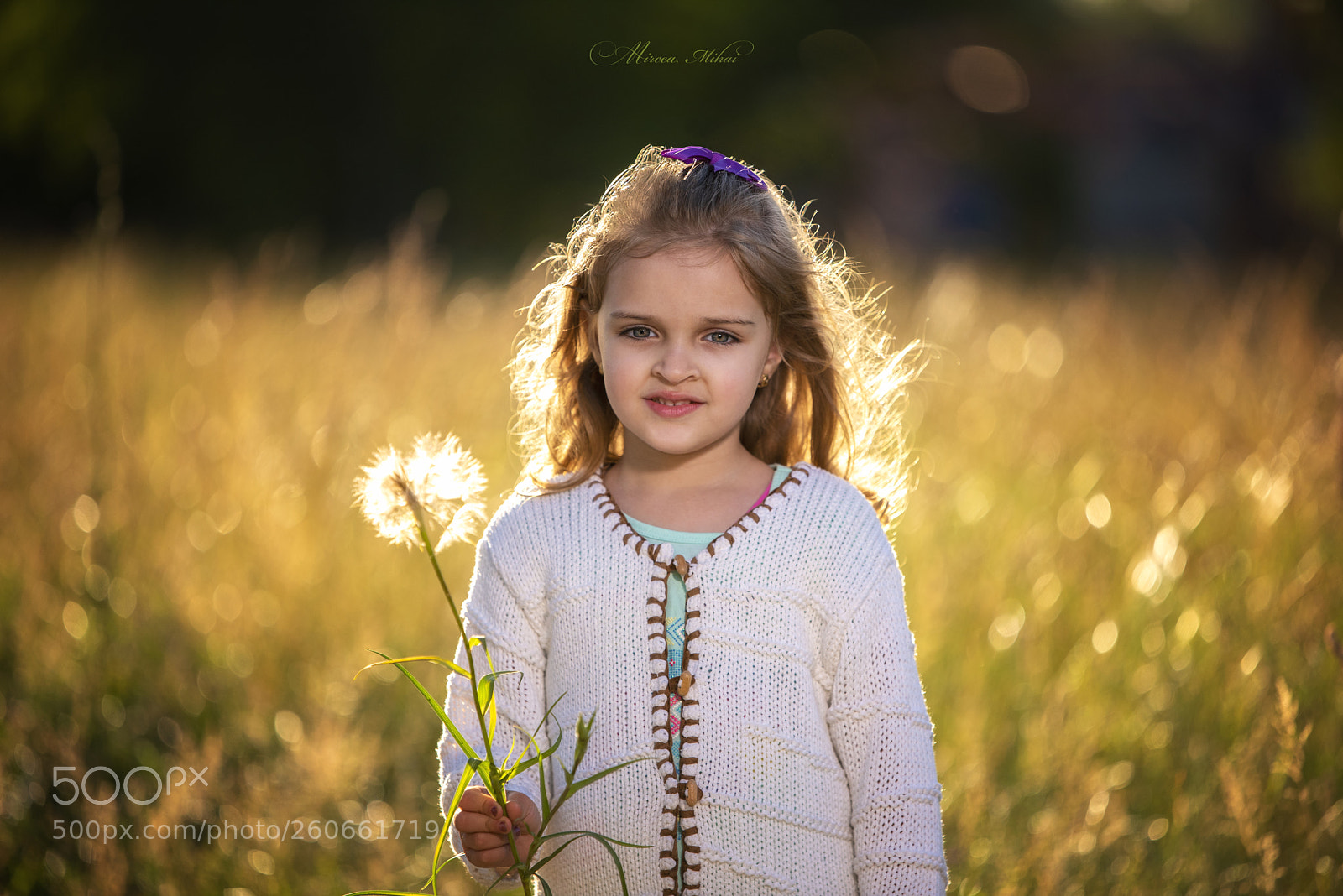 Nikon D750 sample photo. Hello summer ! photography