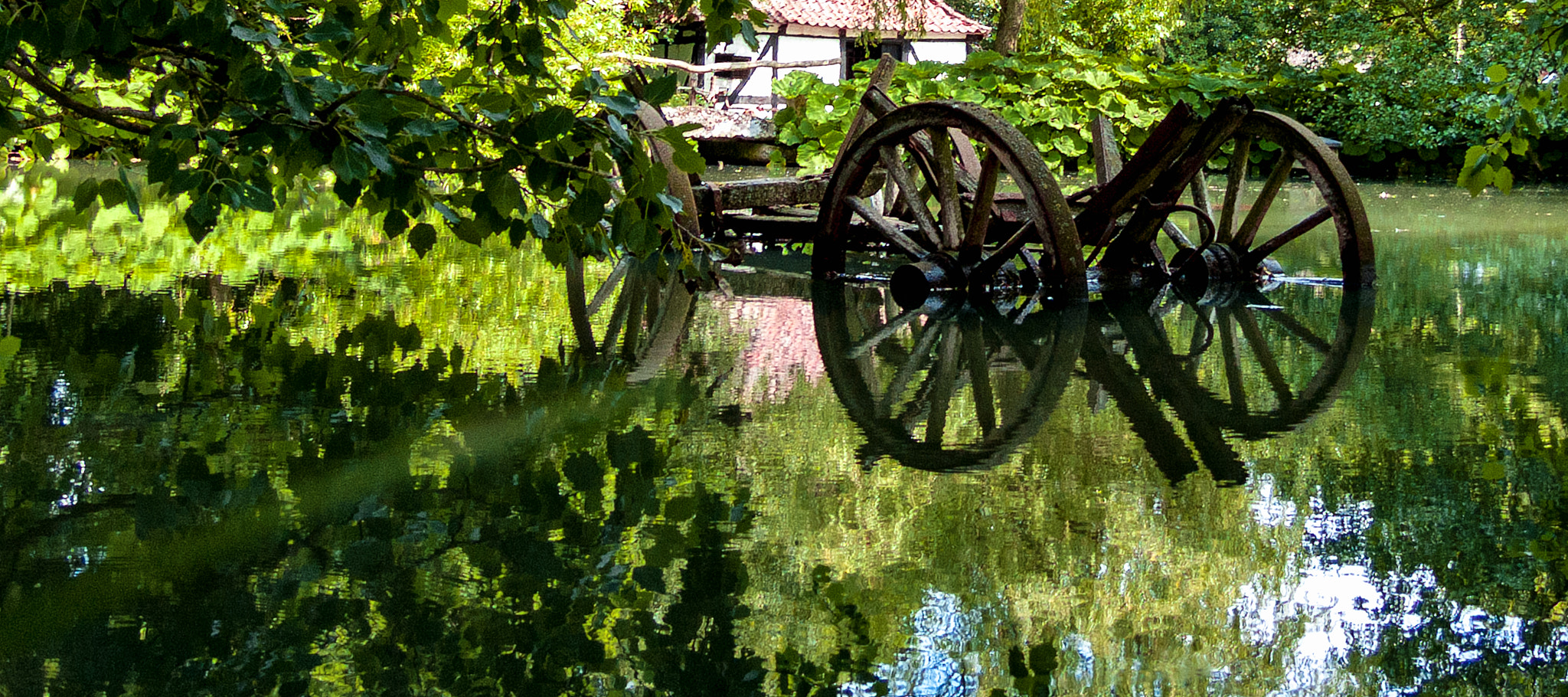 Fujifilm FinePix S6500fd sample photo. Pond mirror photography