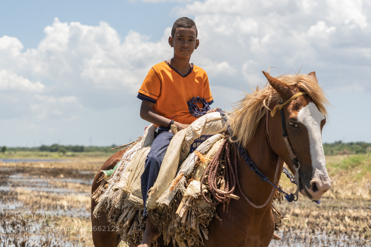 Sony a7 III sample photo. Rices boys photography