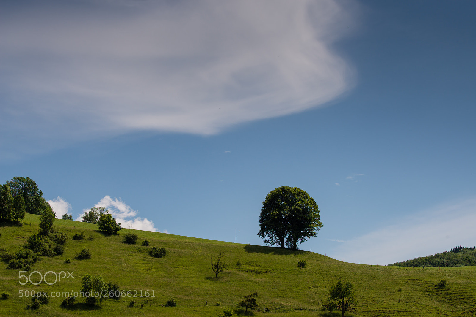 Nikon D800 sample photo. Summer photography