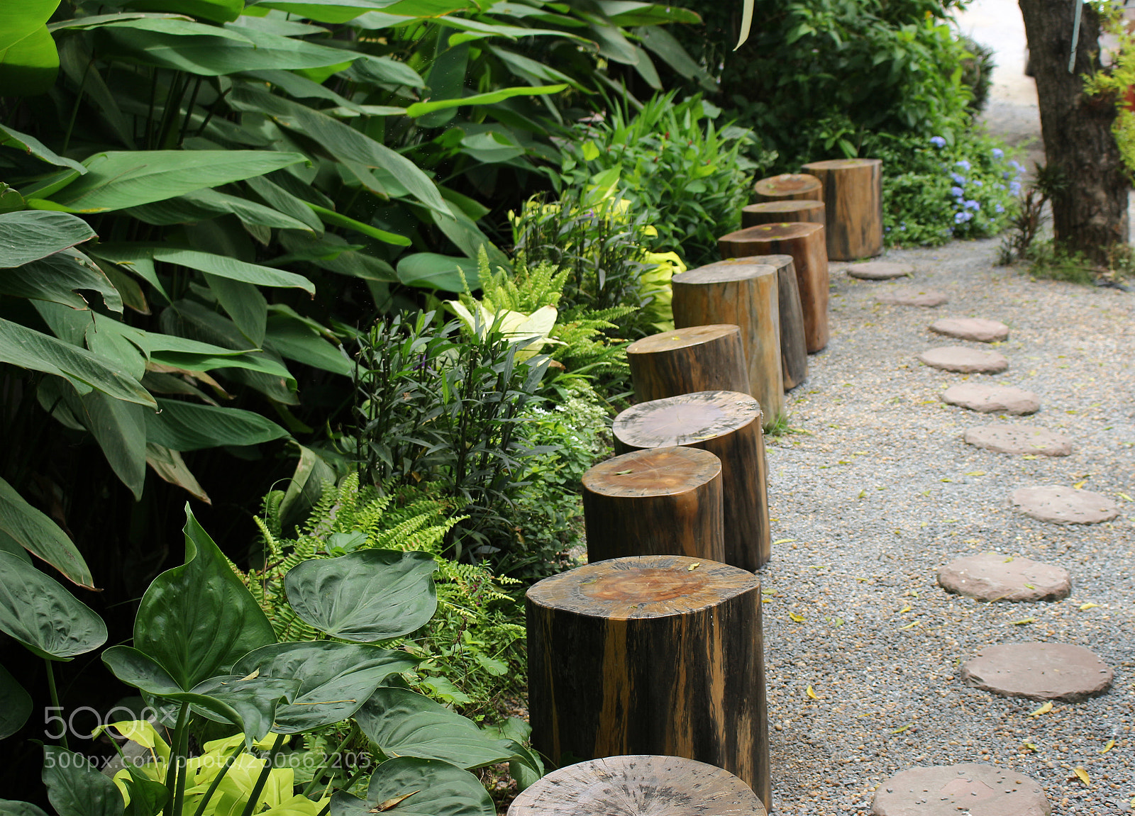 Canon EOS 700D (EOS Rebel T5i / EOS Kiss X7i) sample photo. Stumps used as chairs photography