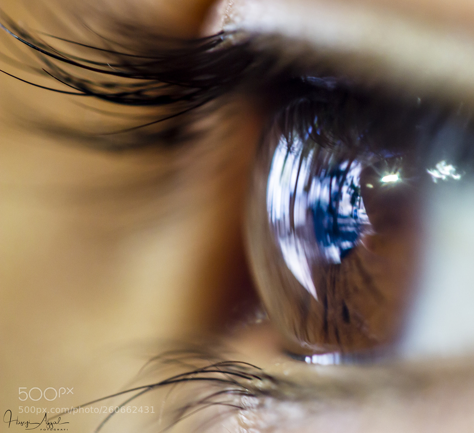 Canon EOS 60D sample photo. Untitled photography