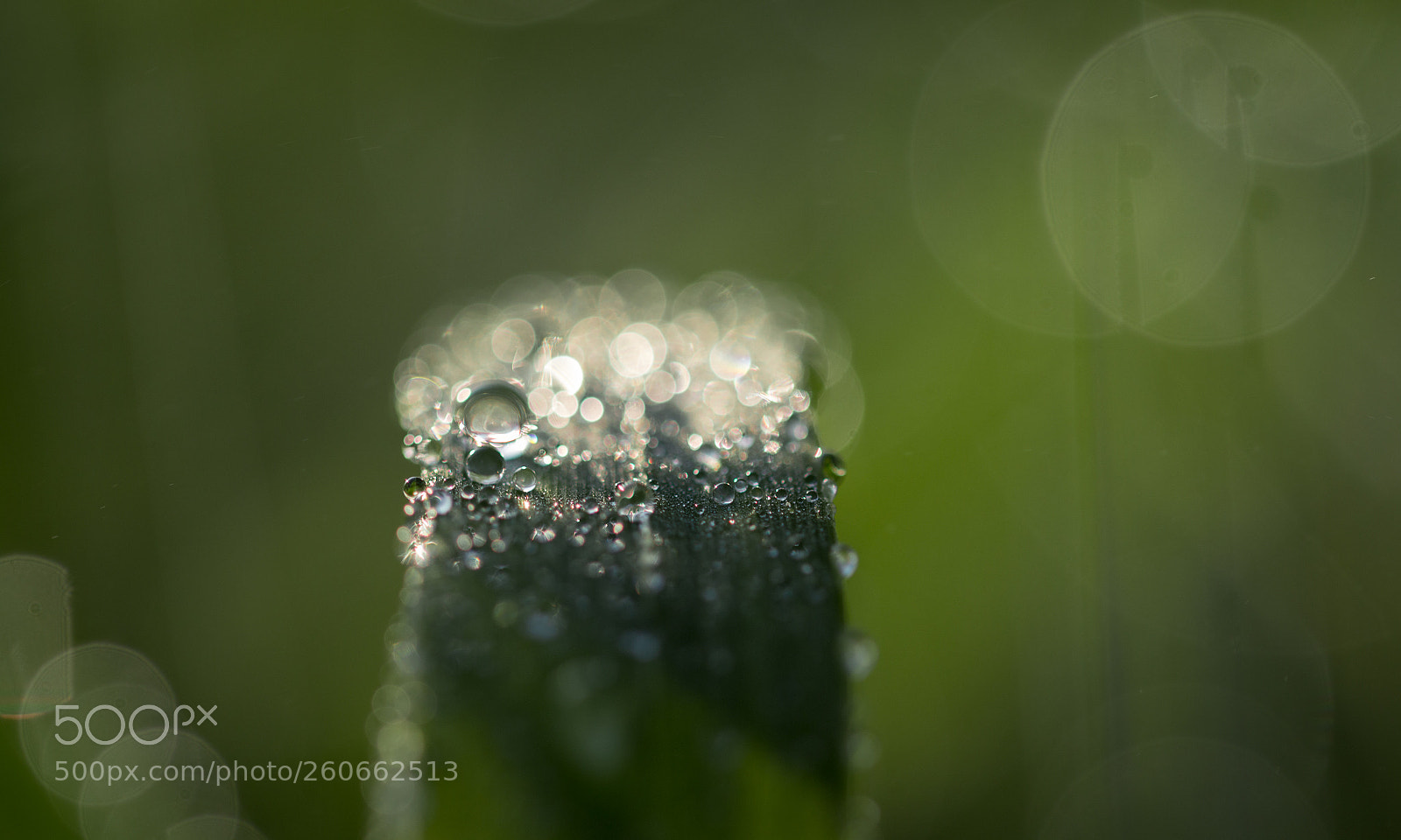 Canon EOS 70D sample photo. Diamond ring photography