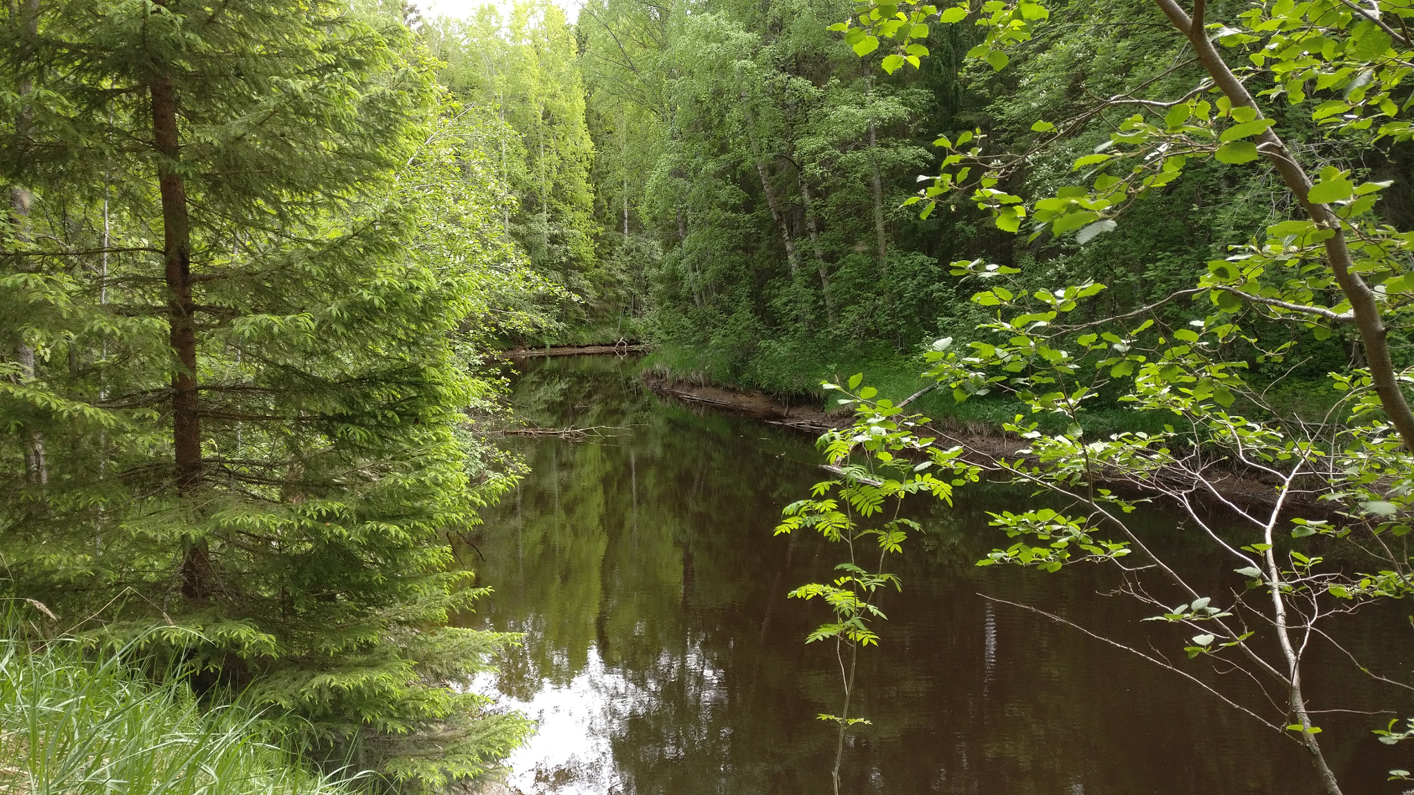 OnePlus A3003 sample photo