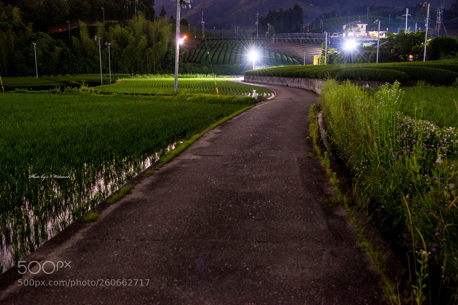 Nikon D800 sample photo. *** photography