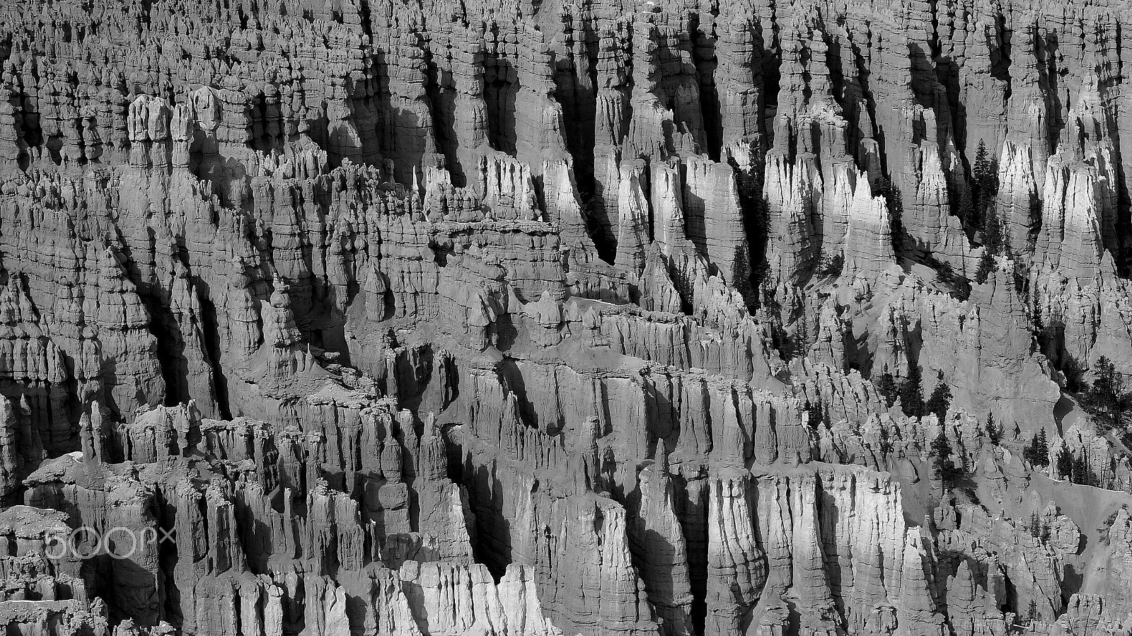 Sony Alpha NEX-6 sample photo. Bryce canyon photography