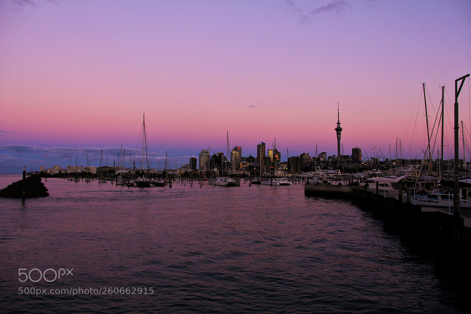 Canon EOS 60D sample photo. Pink auckland photography