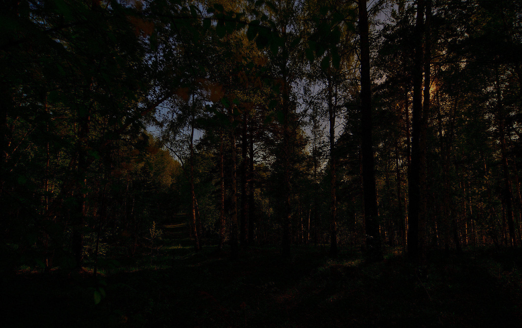 Nikon D7000 sample photo. Full moon.road home  Полнолуние.Дорога домой photography