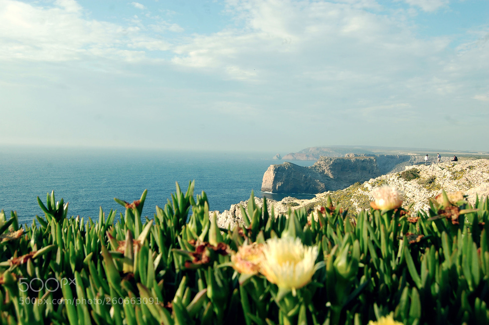 Nikon D40 sample photo. Cabo da sao vicente photography
