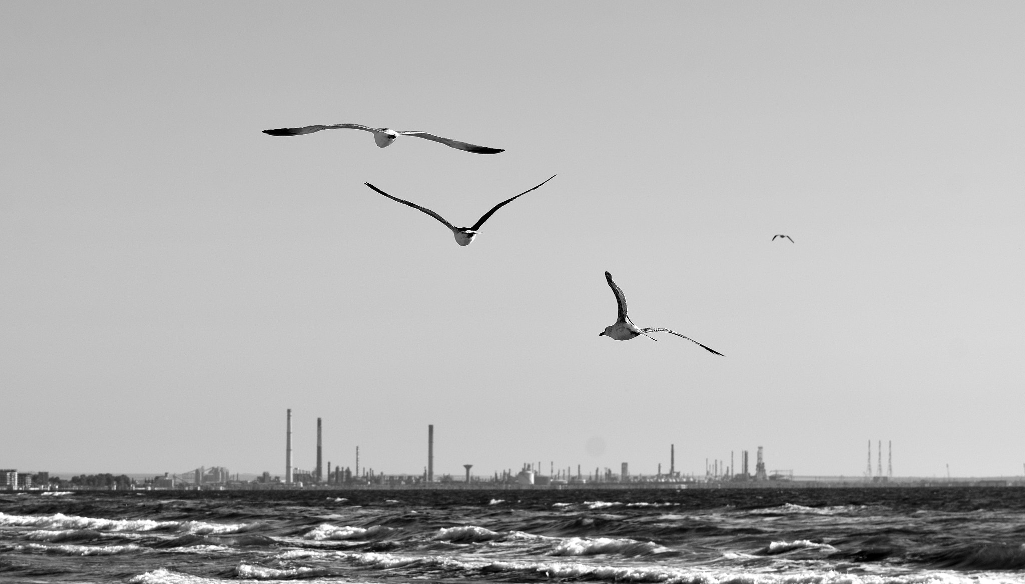 Nikon AF-S DX Micro-Nikkor 85mm F3.5G ED VR sample photo. B&w seascape photography