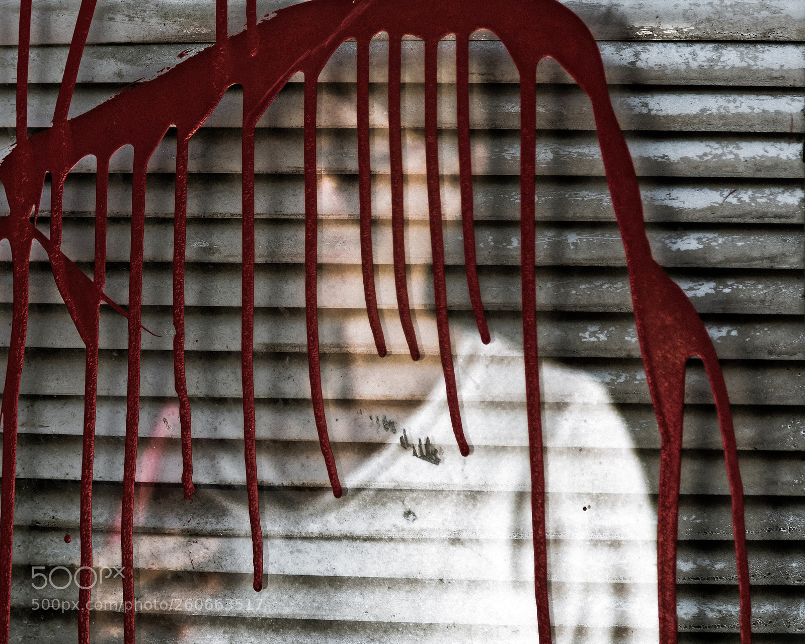 Canon EOS 6D sample photo. Bloody sunday photography