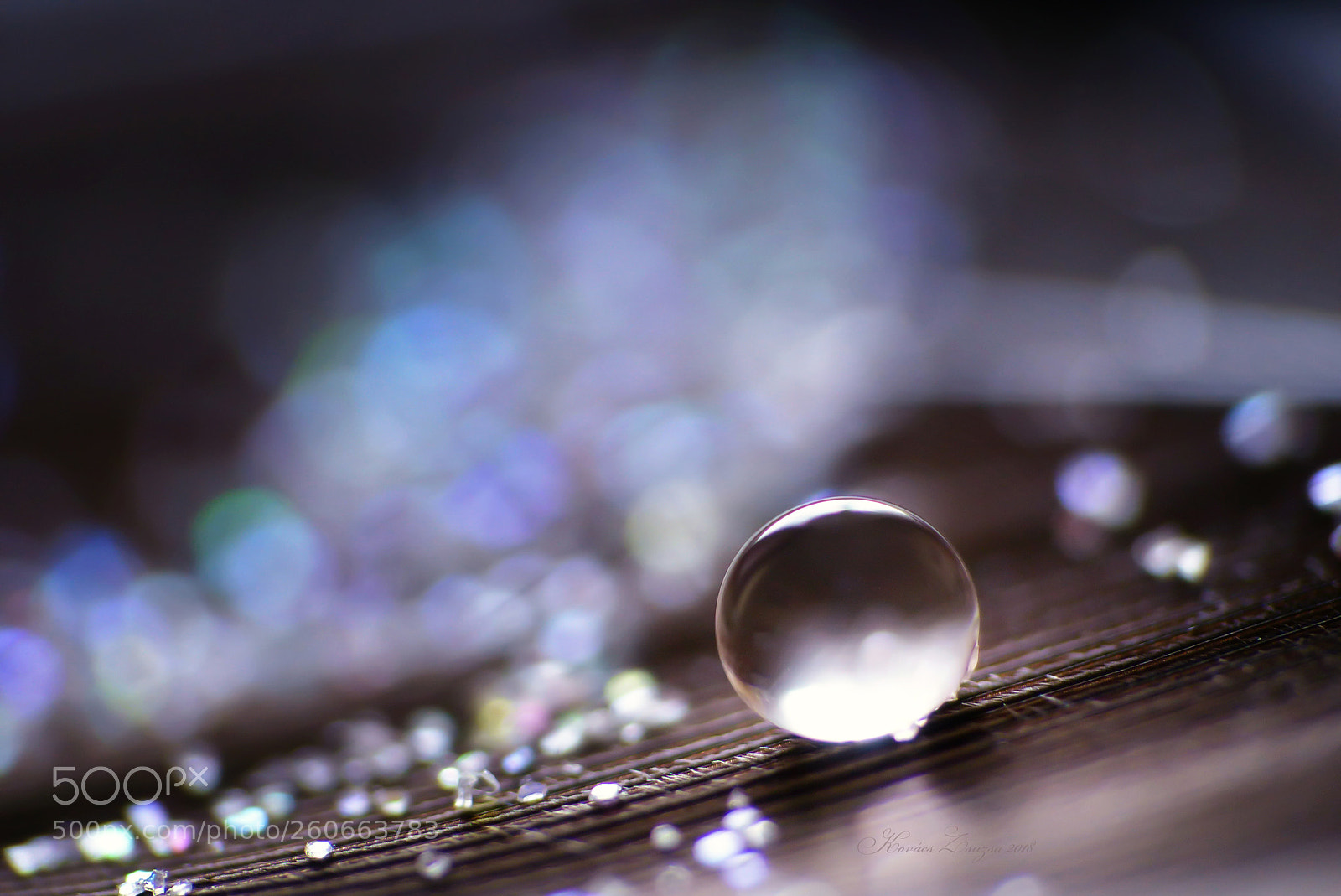 Panasonic Lumix DMC-FZ200 sample photo. Luminescence photography