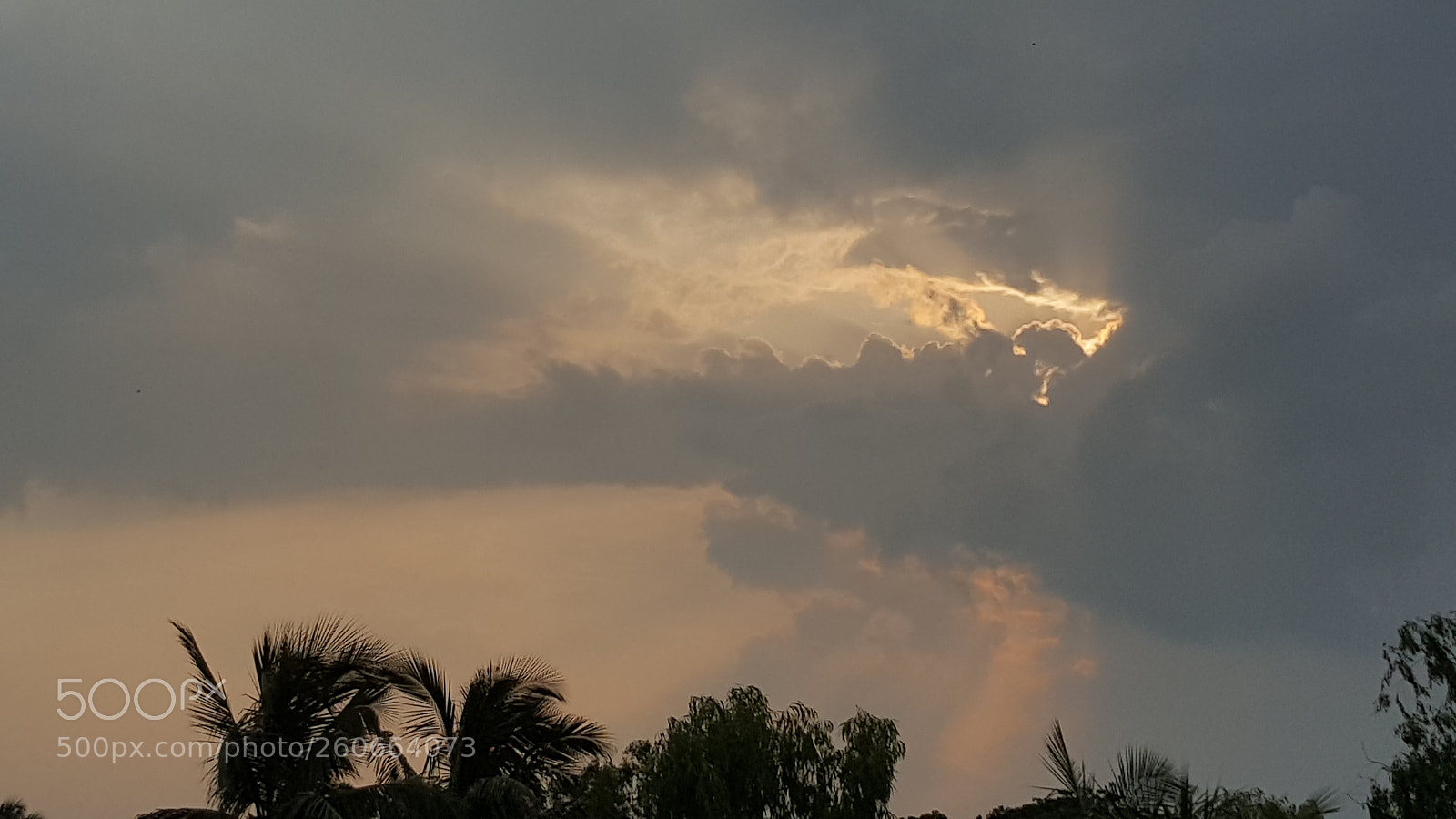Samsung GALAXY S6 edge sample photo. Untitled photography
