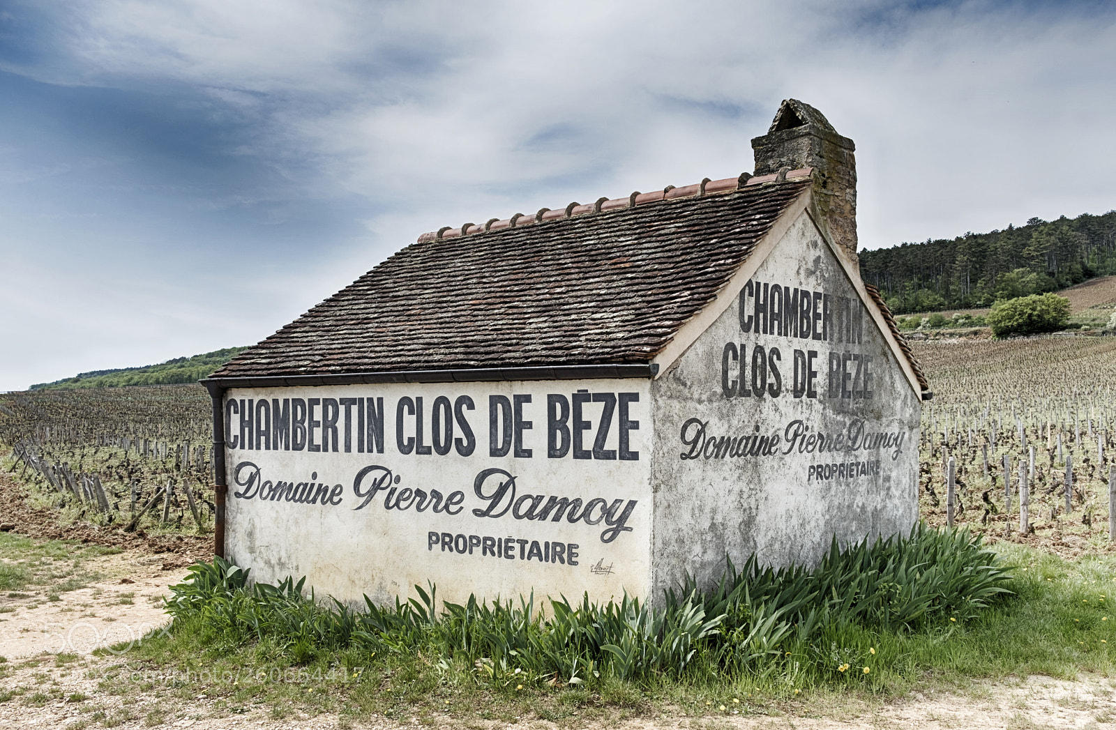 Fujifilm X-Pro2 sample photo. Chambertin clos de beze photography