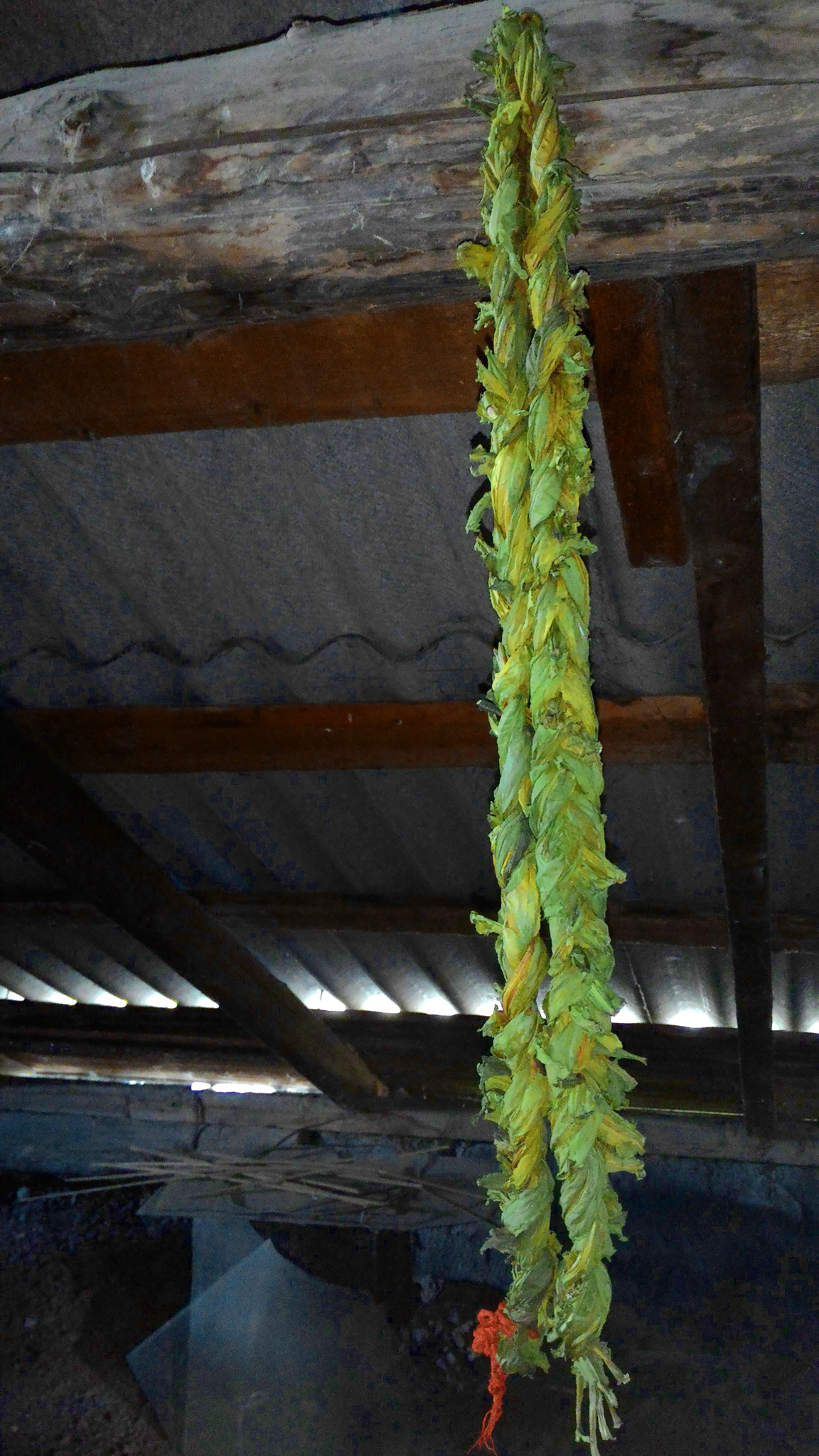 ASUS Z002 sample photo. Healthy digestion friend ) photography