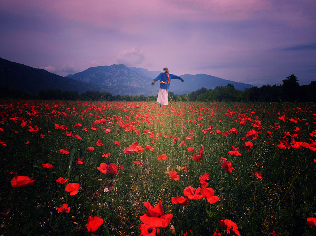 Nikon Coolpix S9300 sample photo. Scarecrow /poppies photography