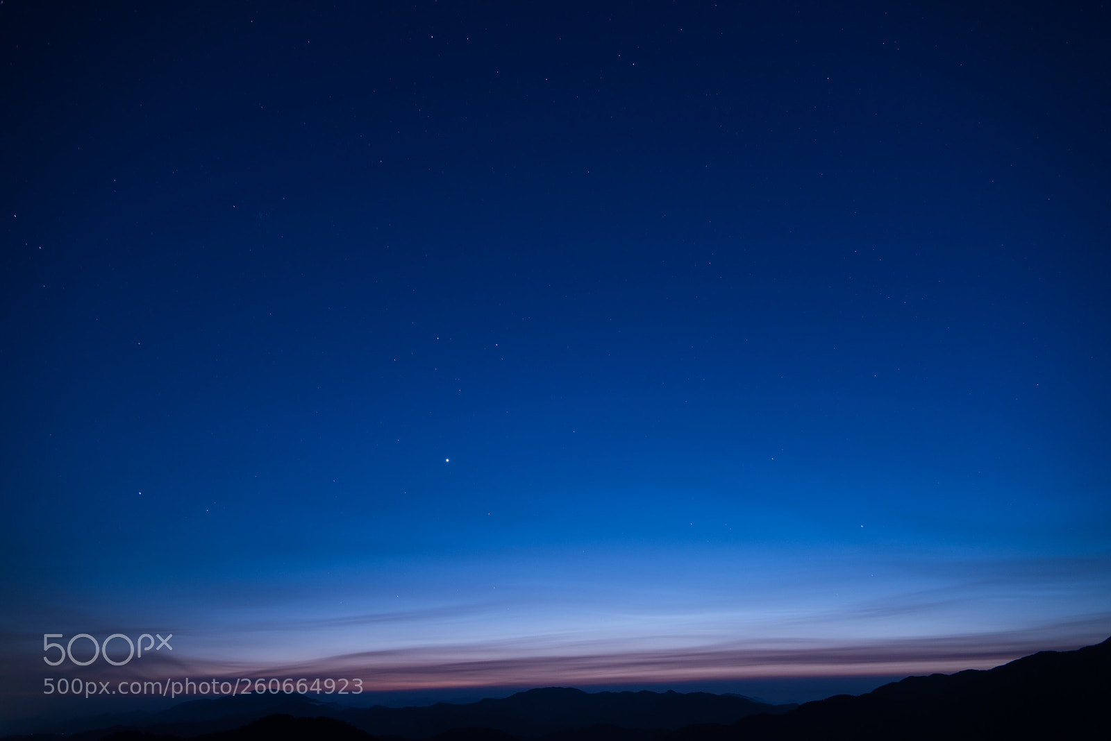 Nikon D810 sample photo. Look up at the photography