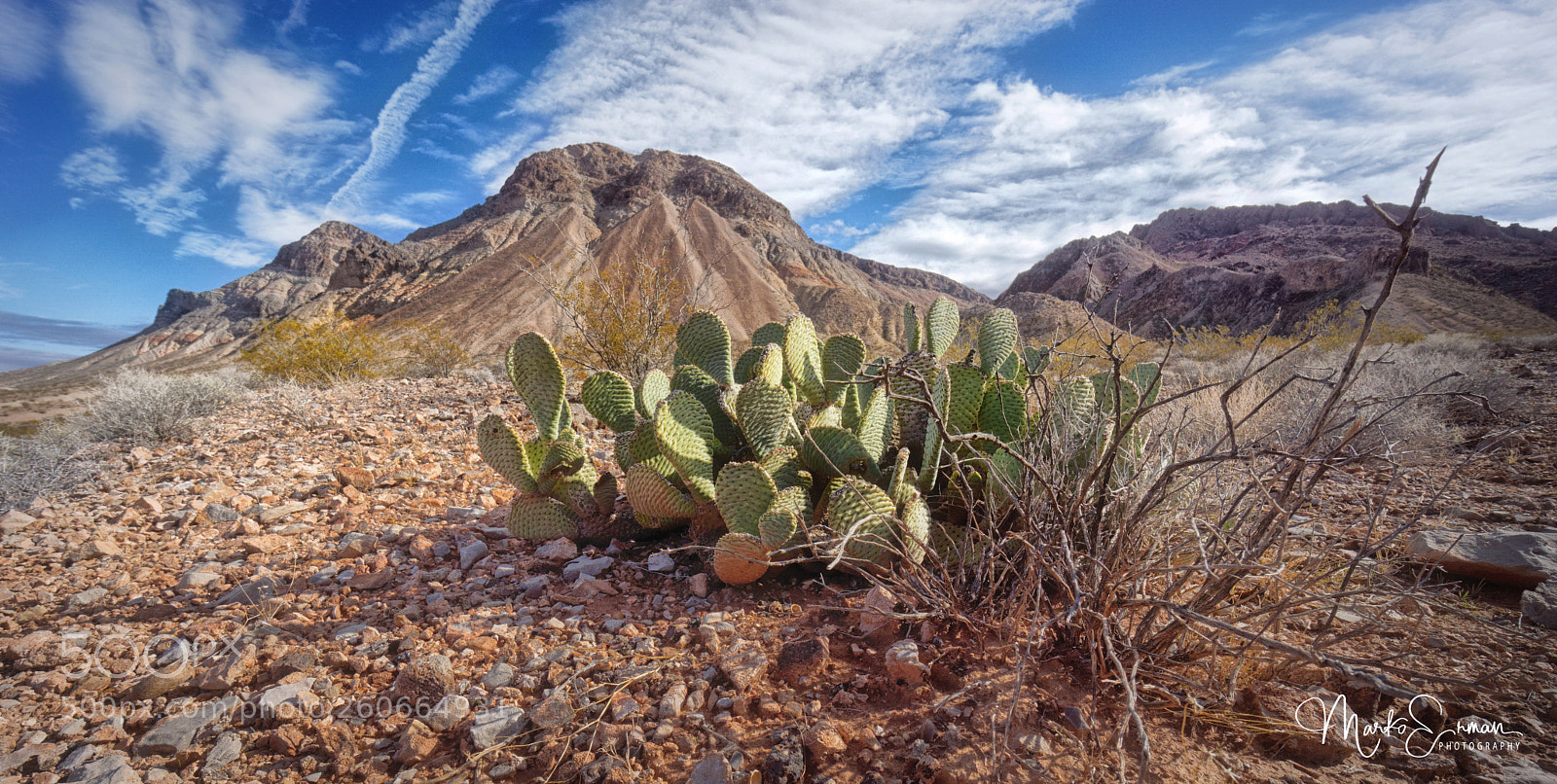 Sony a6000 sample photo. Arid yet beautiful photography